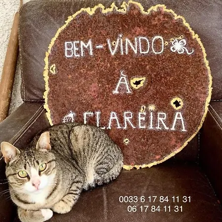 בית נופש Clareira